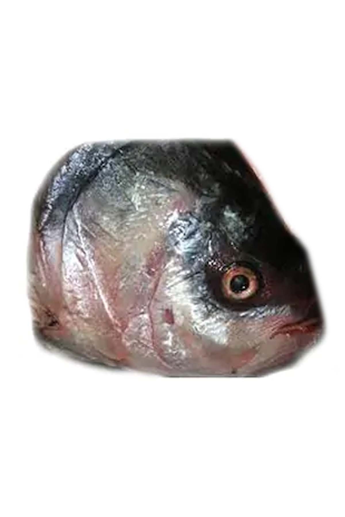KATLA FISH HEAD (GROSS WEIGHT 400 – 500 GM).[GROSS WEIGHT OF PRODUCT MAY DIFFER FROM THE NET WEIGHT UPTO 10-20%, DUE TO CLEANING, GUTTING & DRESSING.] (1.00PC)