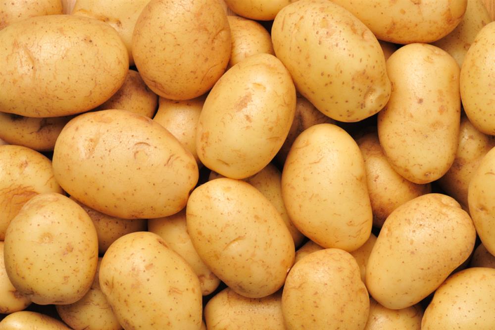 Potato ( New Chandramuki) (2Kg)